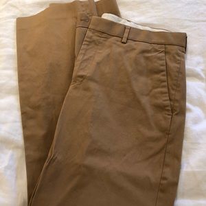 Express chinos